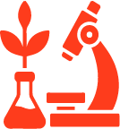 Search Image Icon